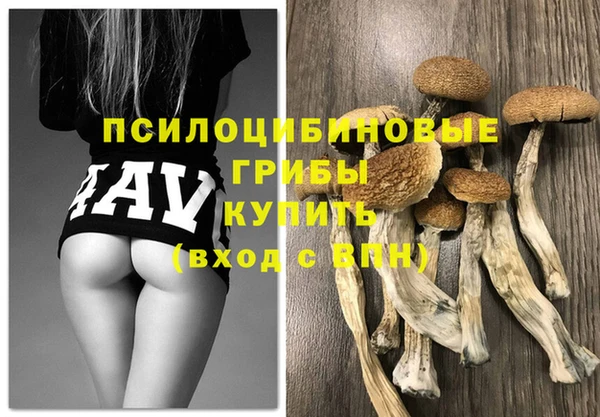 Альфа ПВП Семёнов